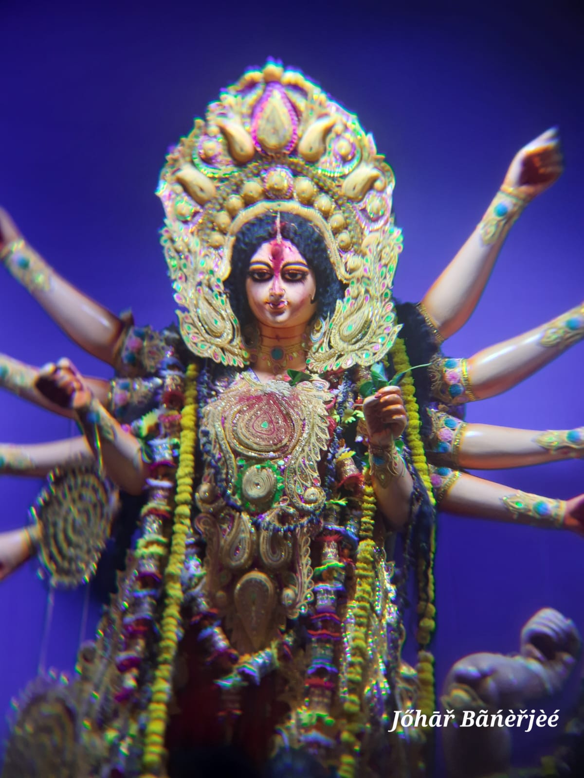 Durga Puja - photo 73
