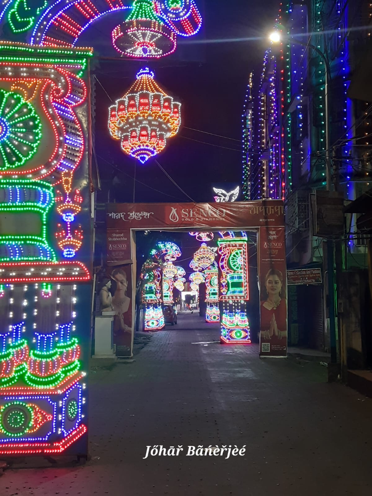 Durga Puja - photo 40