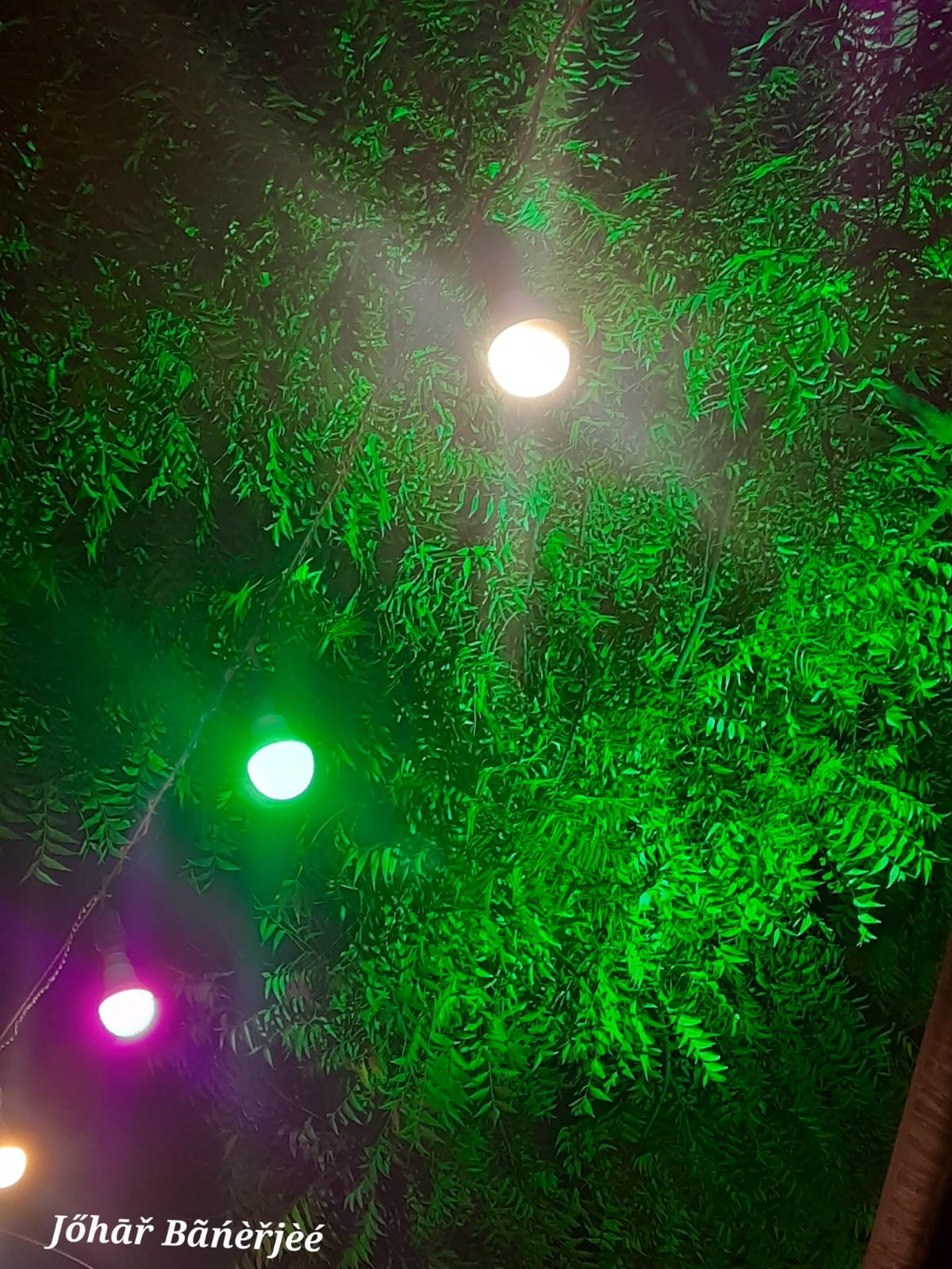 Durga Puja - photo 62