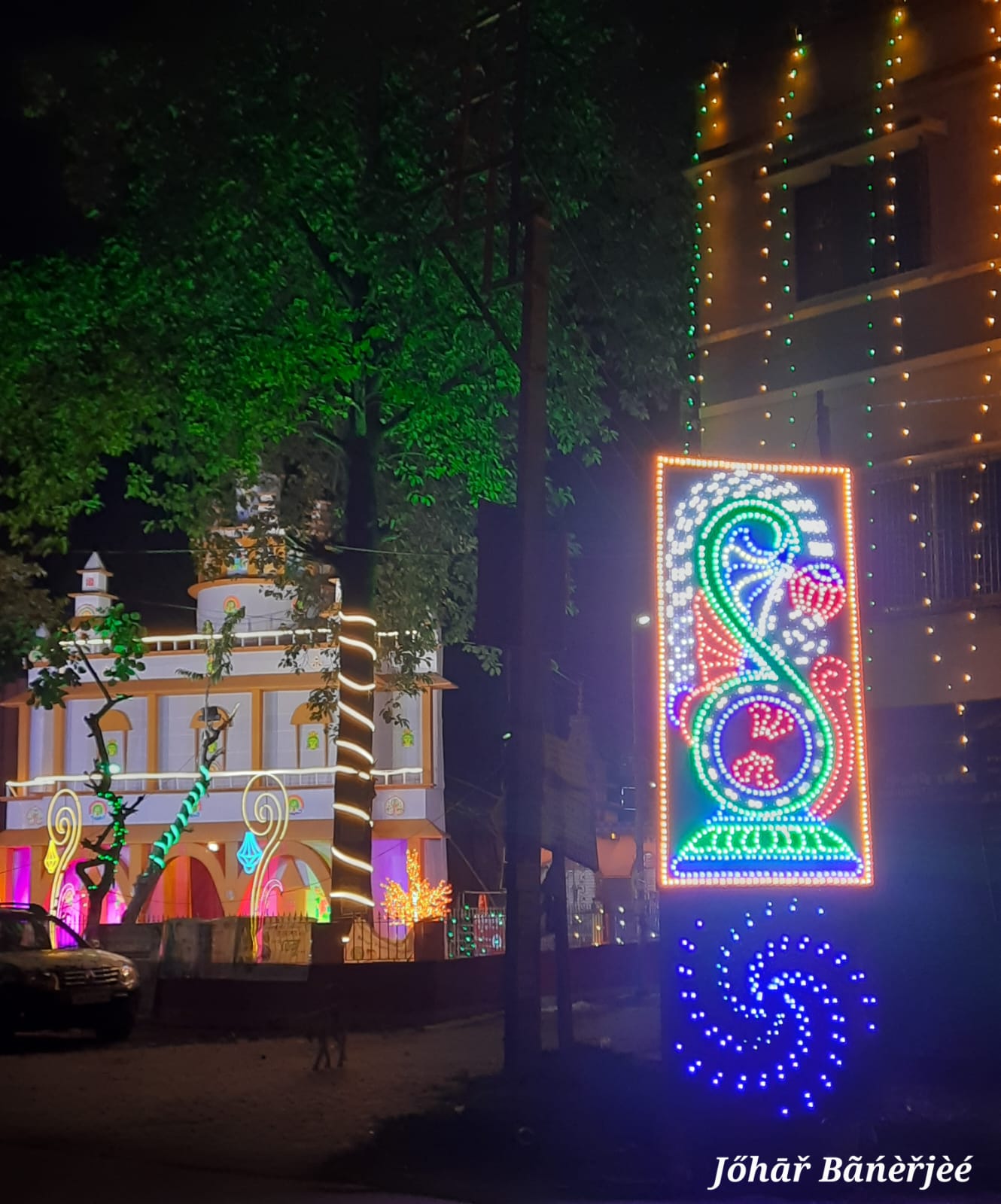 Durga Puja - photo 63