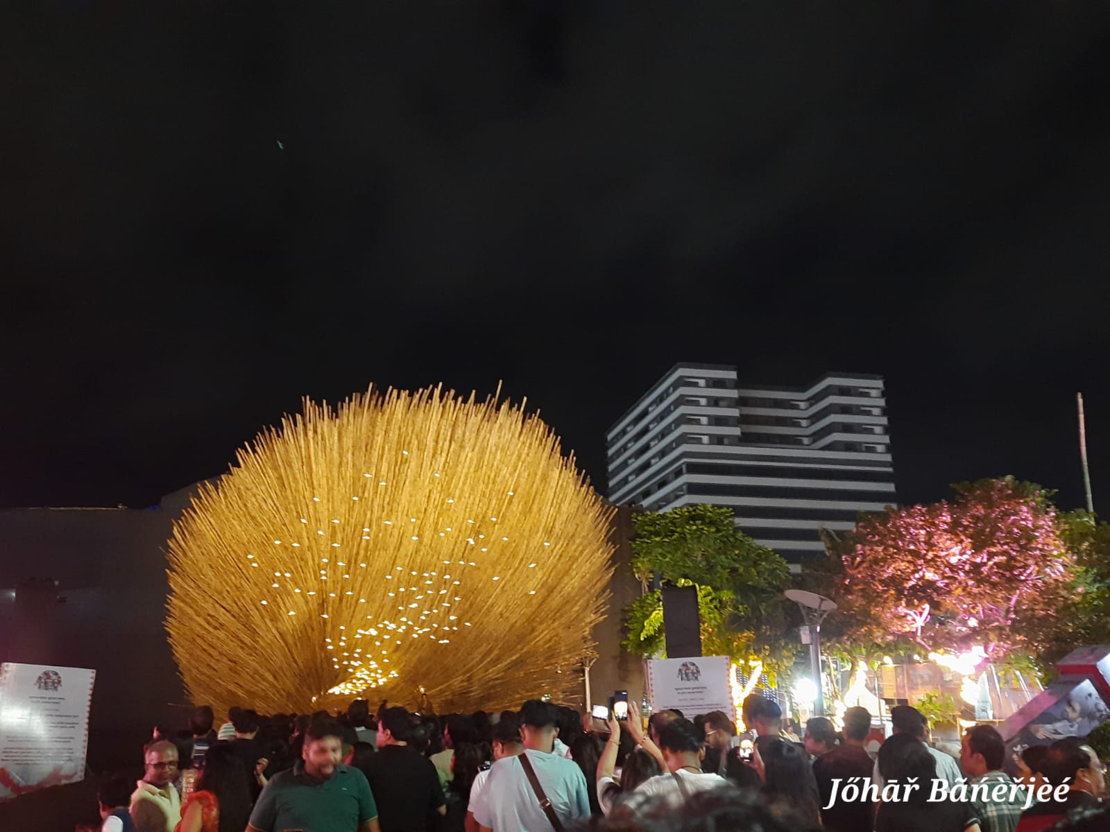 Durga Puja - photo 70