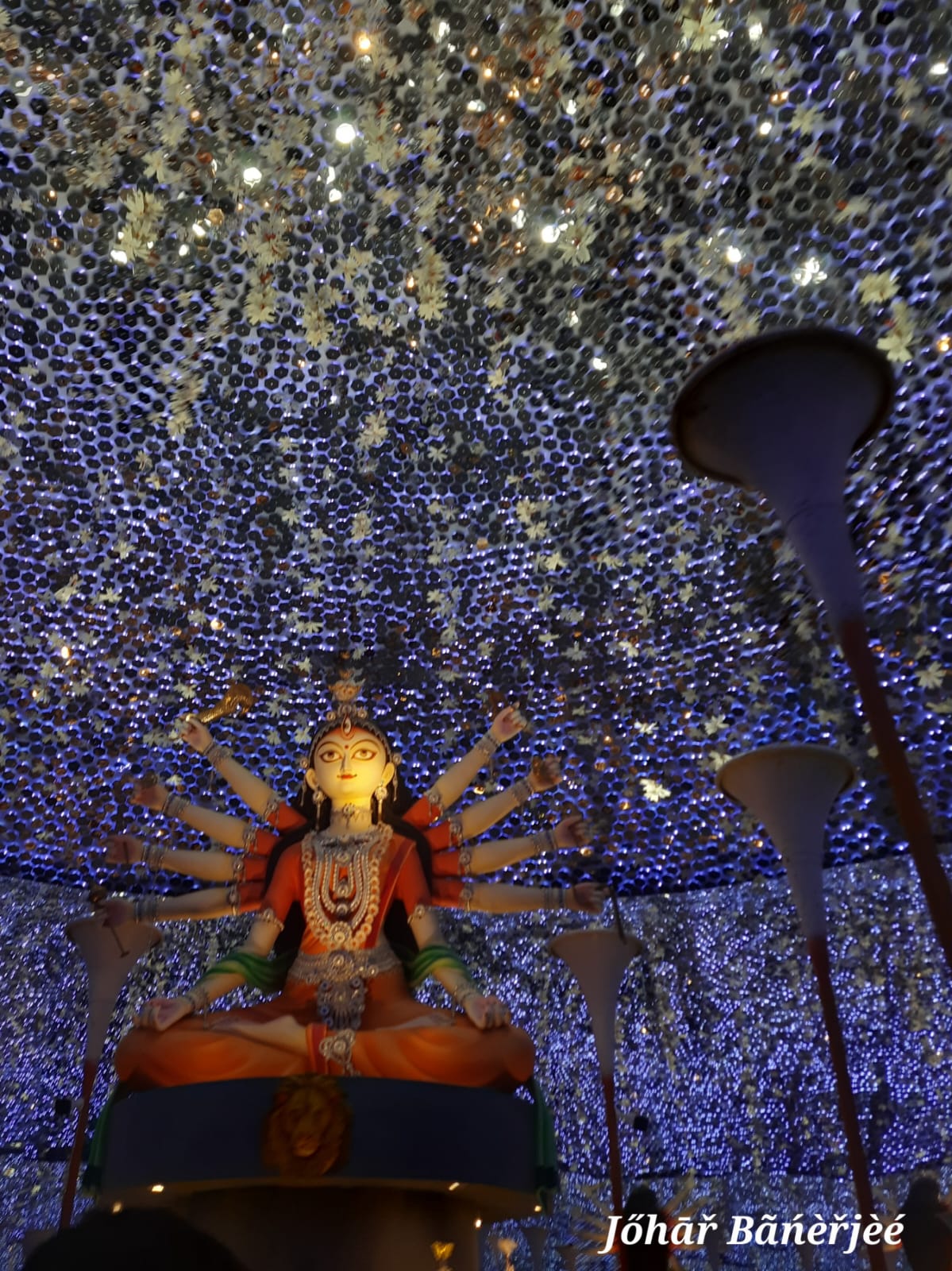 Durga Puja - photo 71